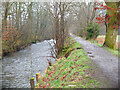 NT0805 : Path by the River Annan, Moffat by Jim Barton