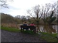 Sat by the pond