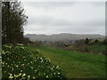 NT2469 : Braidburn Valley Park - 2 April 2023 by M J Richardson