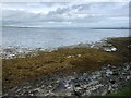 Rocky foreshore at Finstown