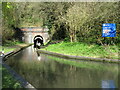 Dudley No. 1 Canal (Dudley Tunnel) - southern portal