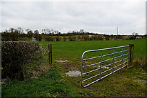 H5366 : Muddy entrance to field, Laragh by Kenneth  Allen