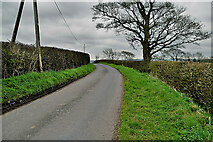H5366 : Dervaghroy Road, Laragh by Kenneth  Allen