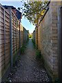 SU8362 : Alleyway to Longdown Lodge Estate by Oscar Taylor