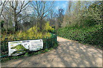 TQ3470 : Approaching Dinosaur Lake, Crystal Palace Park by Dylan Moore