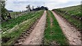 Farmland track on SW side of A689 east of A69 junction