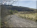 SN8308 : Track towards Seven Sisters opencast by Alan Hughes