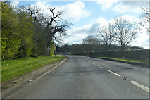 TM3352 : A1152 towards Snape, Rendlesham by Robin Webster
