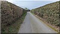 Public footpath drive towards Betton Abbots Farm