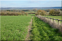 SP7001 : Farmland, Tetsworth by Andrew Smith