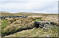 NY8805 : Disused bridge and sheepfold beside Stonesdale Beck by Trevor Littlewood