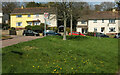 Grass verge, Hoyles Road, Paignton