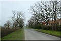 Forest Lane near Shire Oaks Farm