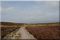 SE1246 : The Dales Way Link Path, Ilkley Moor by habiloid
