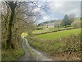 Driveway to Ardderfin