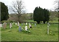 Daffodils in Seale Churchyard