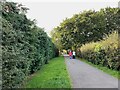 Footpath to New Hall Valley Country Park, Thimble End