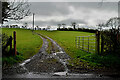 An open field, Rakeeragh