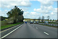 A11 towards London