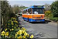 A Leopard on Station Road, Kirkby Stephen