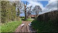 Bridleway heading into Pitchford