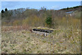 Remains of platform, Riccarton Junction