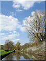 Springtime by the Shropshire Union Canal near Wolverhampton