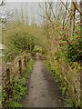 Top of footpath to The Green, Marsden