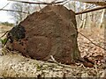 Old Boundary Marker near Teign View Farm