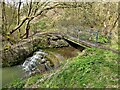 Moston Brook Weir