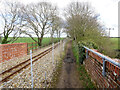 Looking east towards Wroxham on Bure Valley Railway