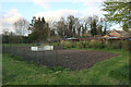 Allotments, Pampisford