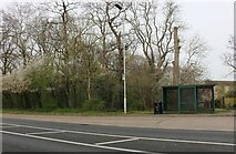TF1601 : Bus stop on Bretton Way, Peterborough by David Howard