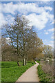 Footpath in Pendeford Park, Wolverhampton