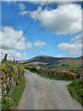 S7848 : Lane and Hill by kevin higgins