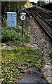 SO6301 : 15 sign alongside the railway, Lydney by Jaggery