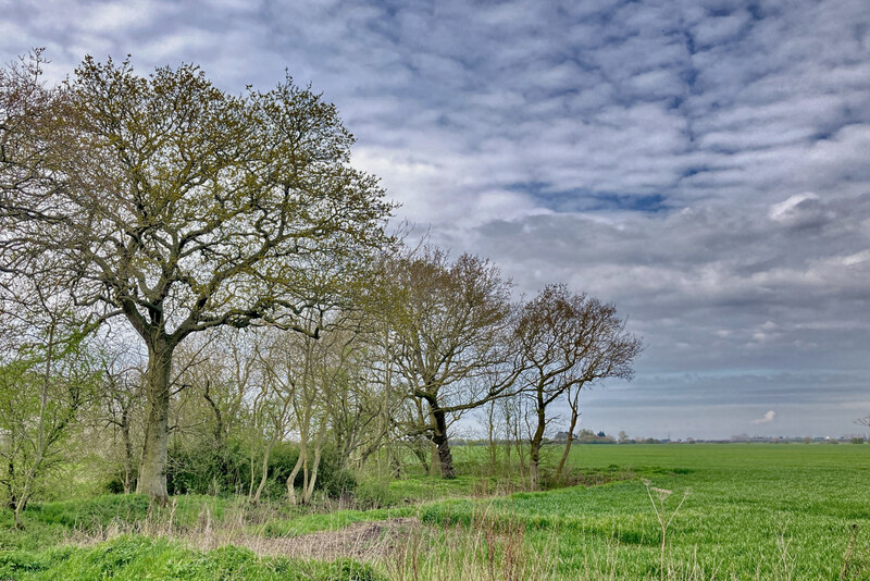 Field edge by Archie's Way © Julian Paren Geograph Britain and Ireland