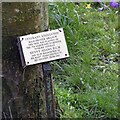 The plaque on the memorial tree for Benny Adams