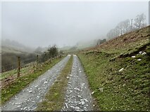 SJ1034 : Heading up the valley in low cloud by John H Darch
