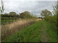 Footpath next to a rhyne