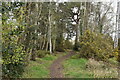 Path into woodland behind houses in Brabourne Way