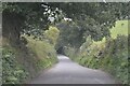 St Neot : Country Lane