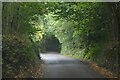 SX2067 : St Neot : Country Lane by Lewis Clarke