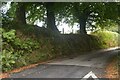 St Cleer : Country Lane