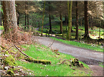 NT2840 : Path junction, Glentress Forest by Jim Barton