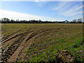 Stubble field on Long Lane