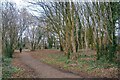 ST6071 : Bristol : Knowle - Sparke Evans Park by Lewis Clarke