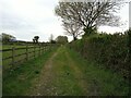 Farm track off Locking Moor Road