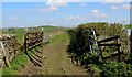 SD5685 : Farm Track between Sill Field Farm and Crosslands Farm by Chris Heaton