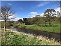 NZ2852 : River Wear beside The Raceground, Lambton Park by David Robinson
